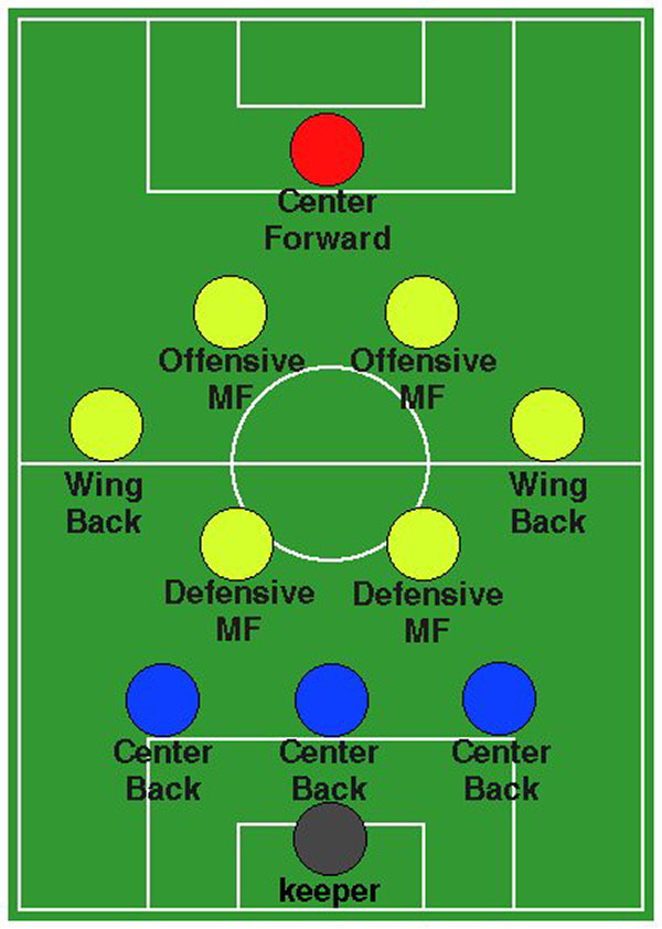 3–6–1 formation