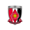 Urawa Red Diamonds Emblem