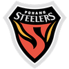 Pohang Steelers Emblem