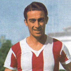 Manuel Pelegrina