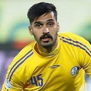 Vahid Sheikhveisi