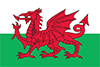 Wales squads