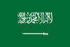 Saudi Pro League